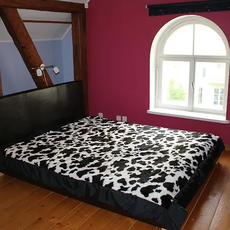 Korter Kompanii